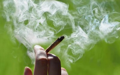 Cannabis bald im Flatrate-Abo?