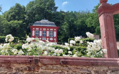 AG Recht – hinter den Kulissen