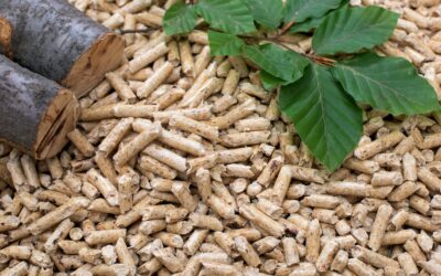Heizen mit Holz und Biomasse: Neue Hürden geplant