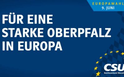 EU-Wahl: Worauf es ankommt