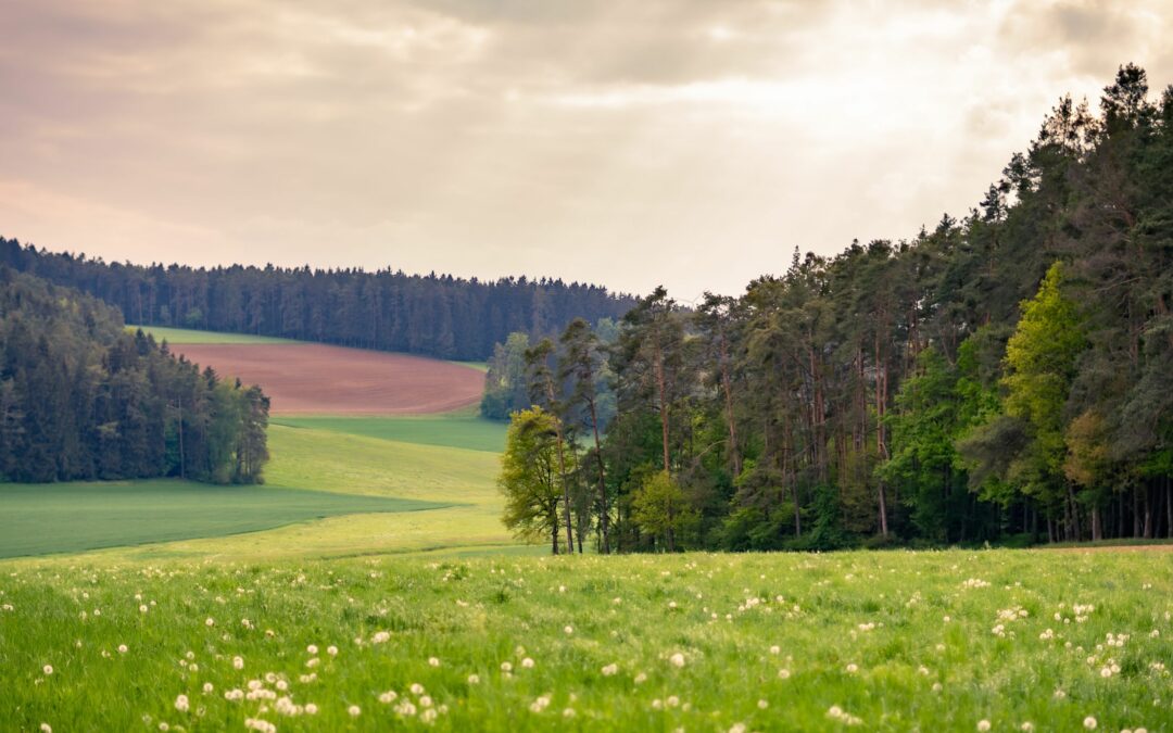 EU-Verordnung sorgt für Bürokratiefrust