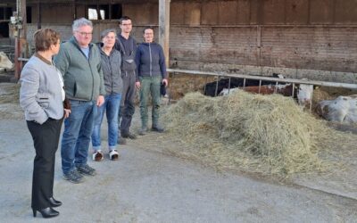 Hofbesuch in Auerbach