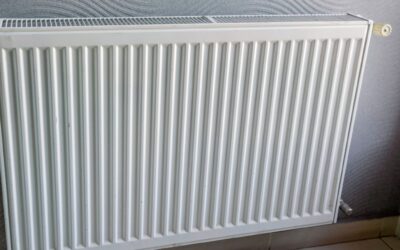 Abschaffung des Heizungsgesetzes von Robert Habeck und europäische Asylreform