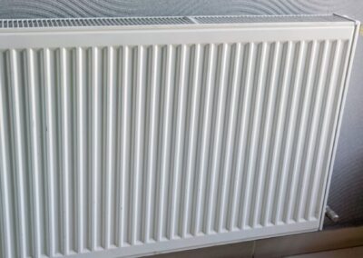 Abschaffung des Heizungsgesetzes von Robert Habeck und europäische Asylreform